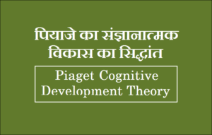 Piaget's Theory Of Cognitive Development