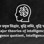 बुद्धि के प्रमुख सिद्धांत